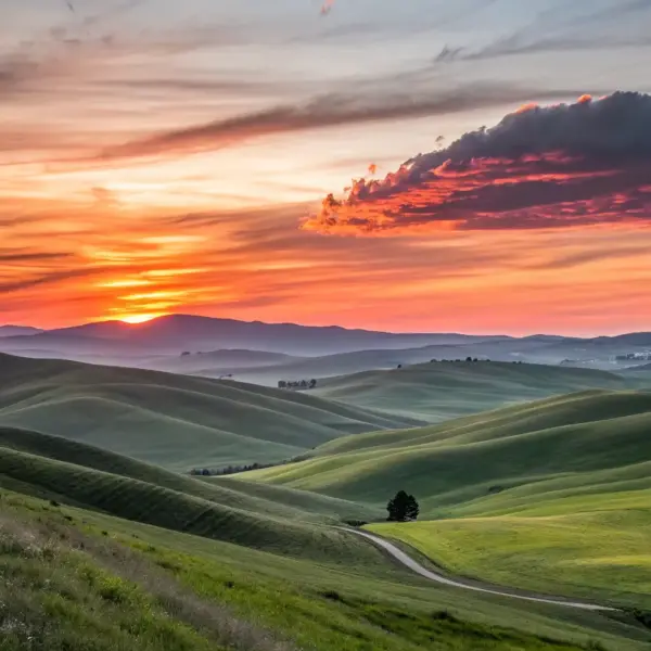 Sunset Over the Hills by Emily Carter